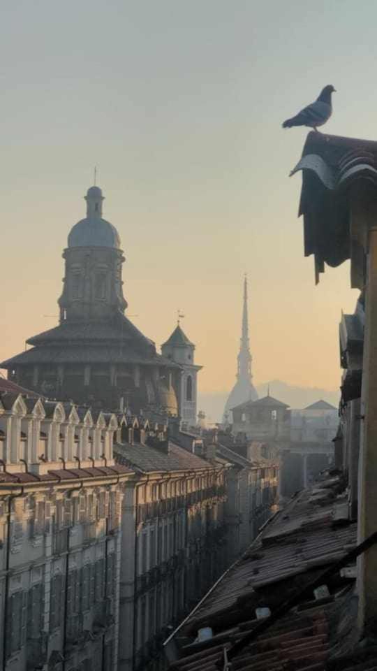Apartament Joie De Vivre Torino Garibaldi Zewnętrze zdjęcie